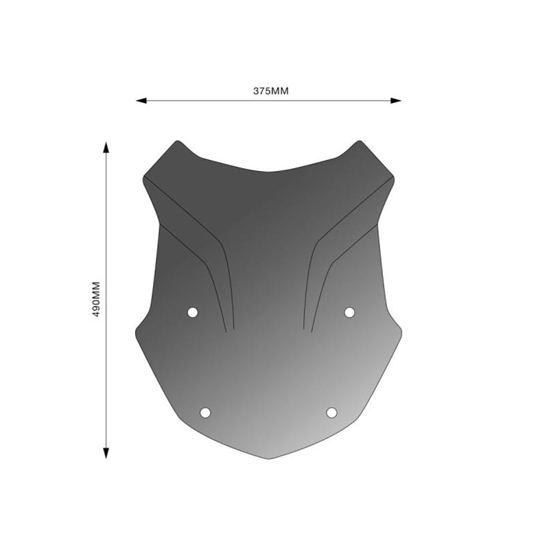 Cúpula Aerotourer Barracuda para BMW R1250GS 19-