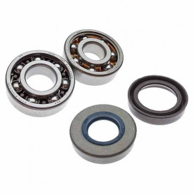 KK01001 Rodamientos top alta velocita y retenes para motor AM6 | MotoGM
