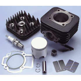 Polini Sport Guss 70 CC Piaggio/Gilera Luft | MotoGM
