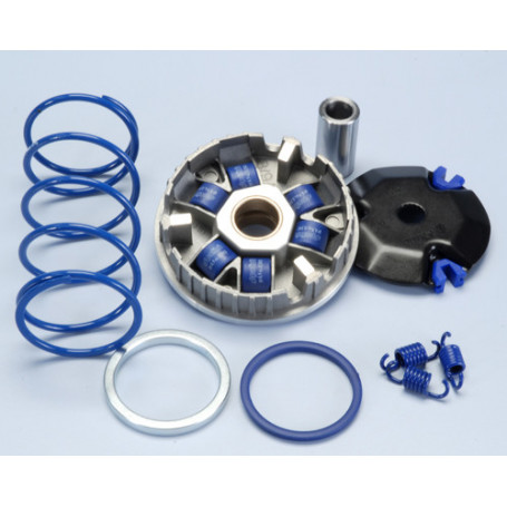 Variador Polini Hi-Speed para motores Minarelli 50 | MotoGM