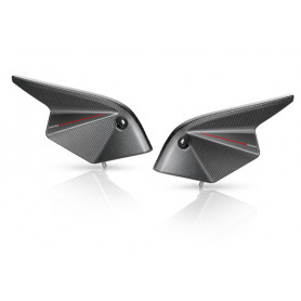 Cárter inyección Rizoma carbono para Kawasaki Z 750 07-11, Z 750 R 11- (1 par)