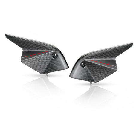 Cárter inyección Rizoma carbono para Kawasaki Z 750 07-11, Z 750 R 11- (1 par)