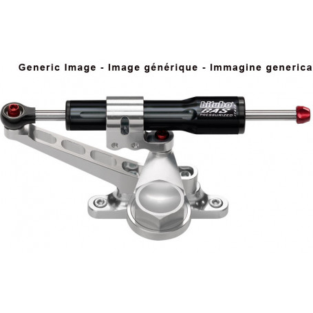 Kit Ammortizzatore di sterzo Bitubo per Honda CBR 600 RR 07- side ,