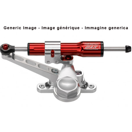 Kit Ammortizzatore di sterzo Bitubo per Kawasaki ER-6n 05-08,