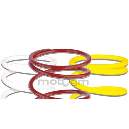 Malossi variator Adjuster spring for Multivar and original variator for Minarelli