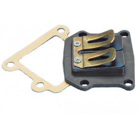 Válvula de láminas Polini para Aprilia Amico SR 50 93, MBK Boost… | MotoGM