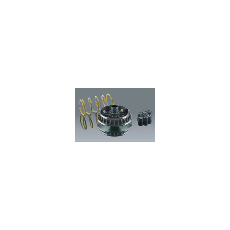 Variator Malossi Multivar 2000 für Suzuki Burgman 400 ie 07-09