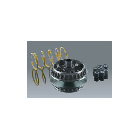 Variatore Malossi Multivar 2000 per Suzuki Burgman 400 ie 07-09