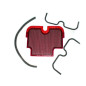 Luftfilter BMC für Kawasaki ER-6 N/F 09-