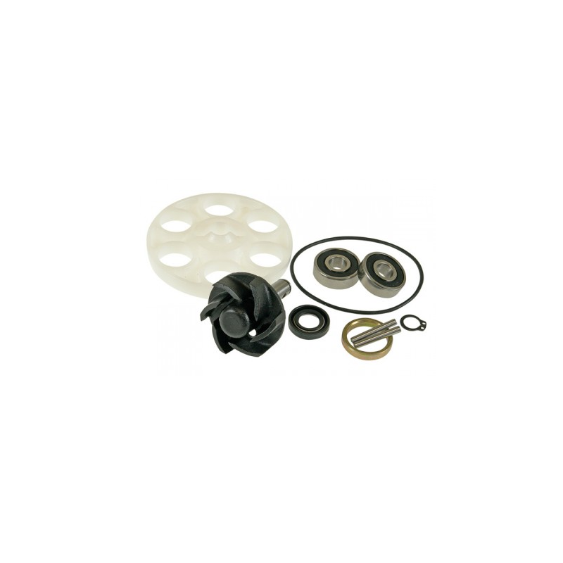 Top Performance kit pump H2O for Minarelli engine