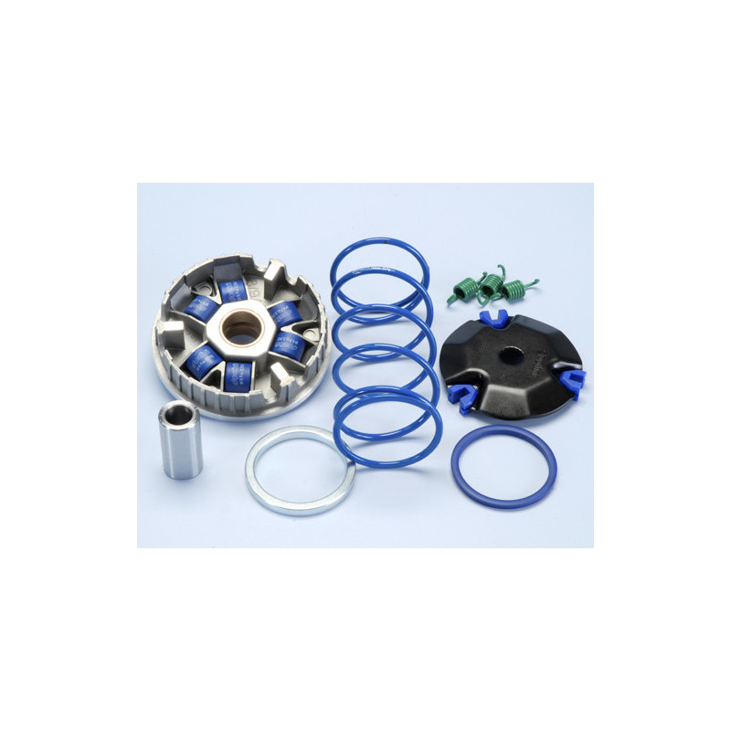 Variador Polini Super Speed 9 rulli para motores Aprilia Amico 50, SR 50 '93, MBK Booster-Rocket, Yamaha BWS Variador Polini Super Speed 9 rulli para motores Aprilia Amico 50, SR 50 '93, MBK Booster-Rocket, Yamaha BWS