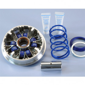 Variator Polini Maxi Speed control für Yamaha Majesty 400 09-, Y… | MotoGM