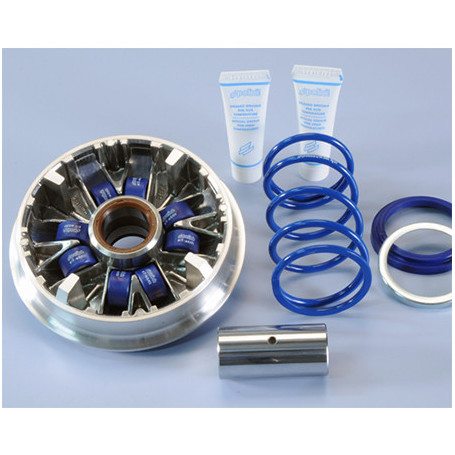 Variatore Polini Maxi Speed control per Yamaha Majesty 400 09-, Yamaha X-MAX 400