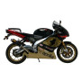 Muffler Street Legal GP cylindrical Carbon Aprilia RSV 1000 98-03, Tuono -05
