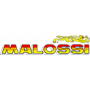 Malossi